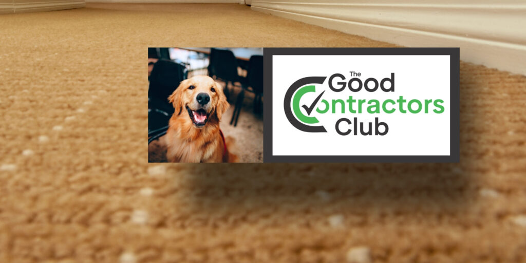 Pet odor removal.