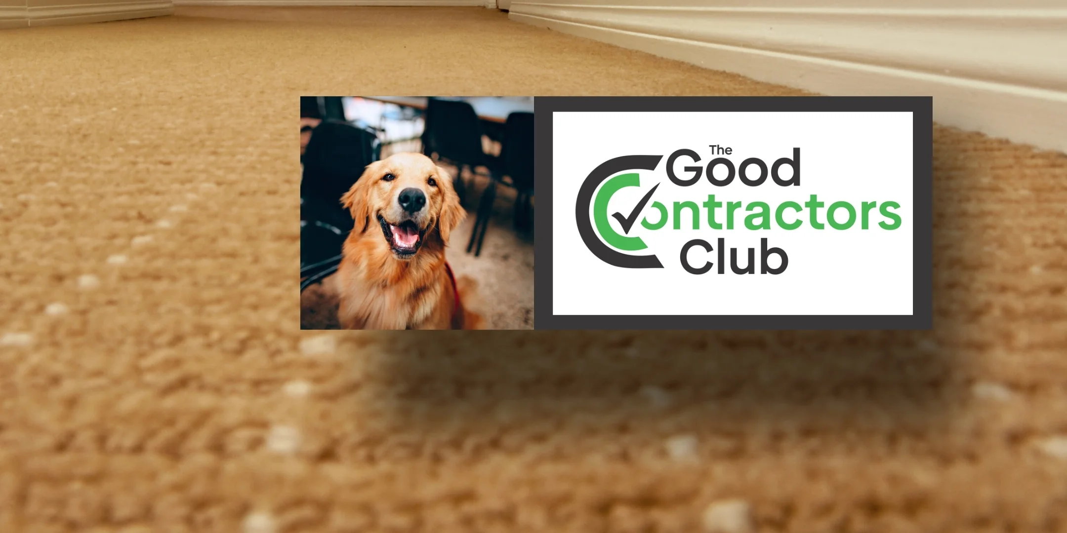 Pet odor removal.